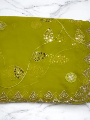 Pani wali lugadi D cut, stone, sequence work, latest trending design