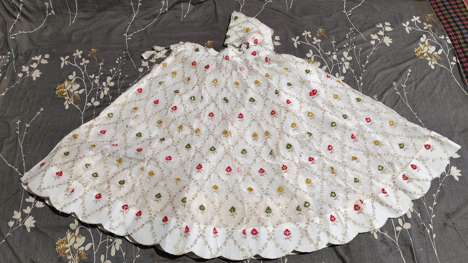 WhatsApp Image 2026-01-24 at 11.49.06 AM